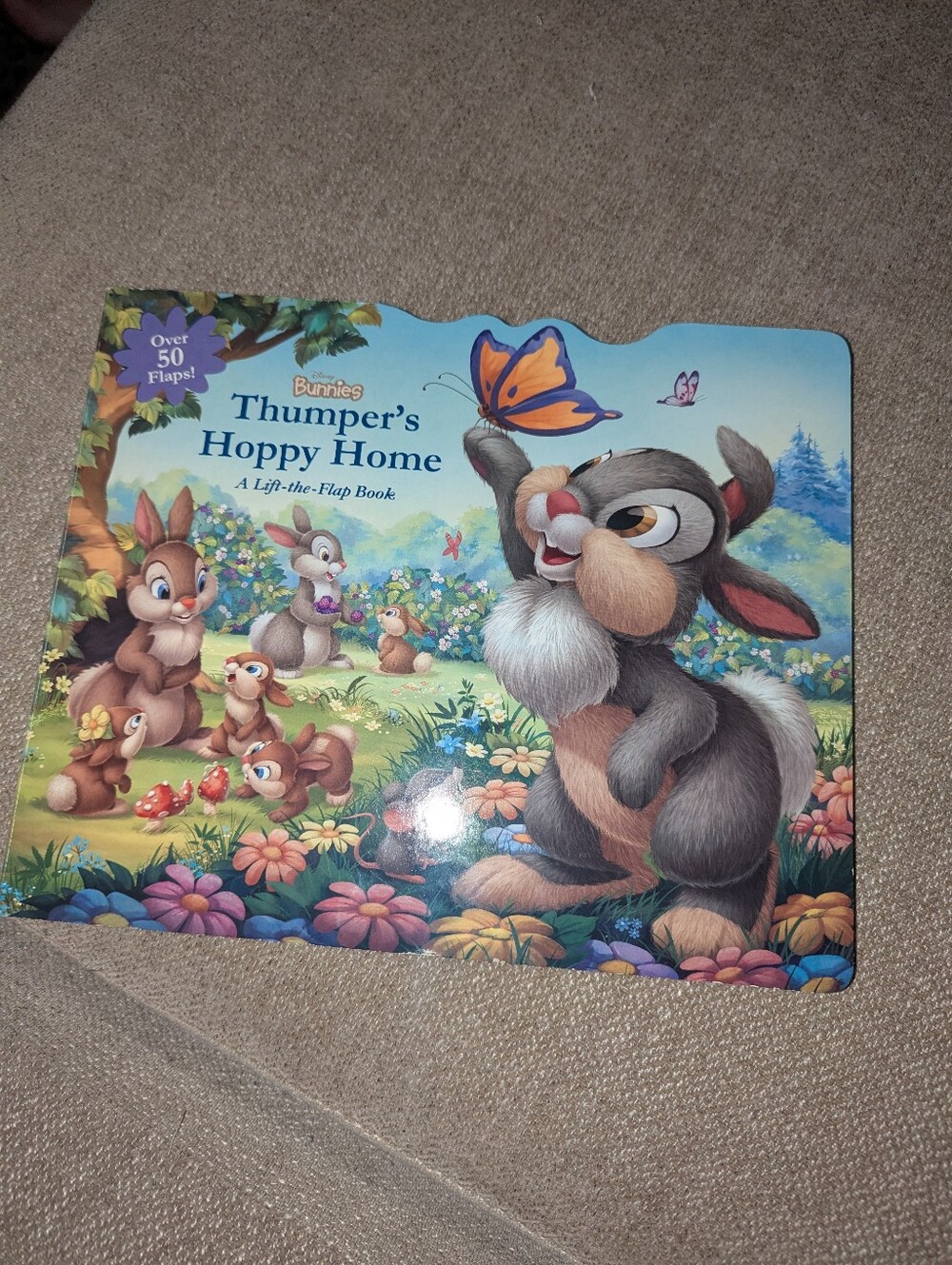 2 For $8 Or $5 Ea. Book Lift The Flap Thumper's Hoppy Home